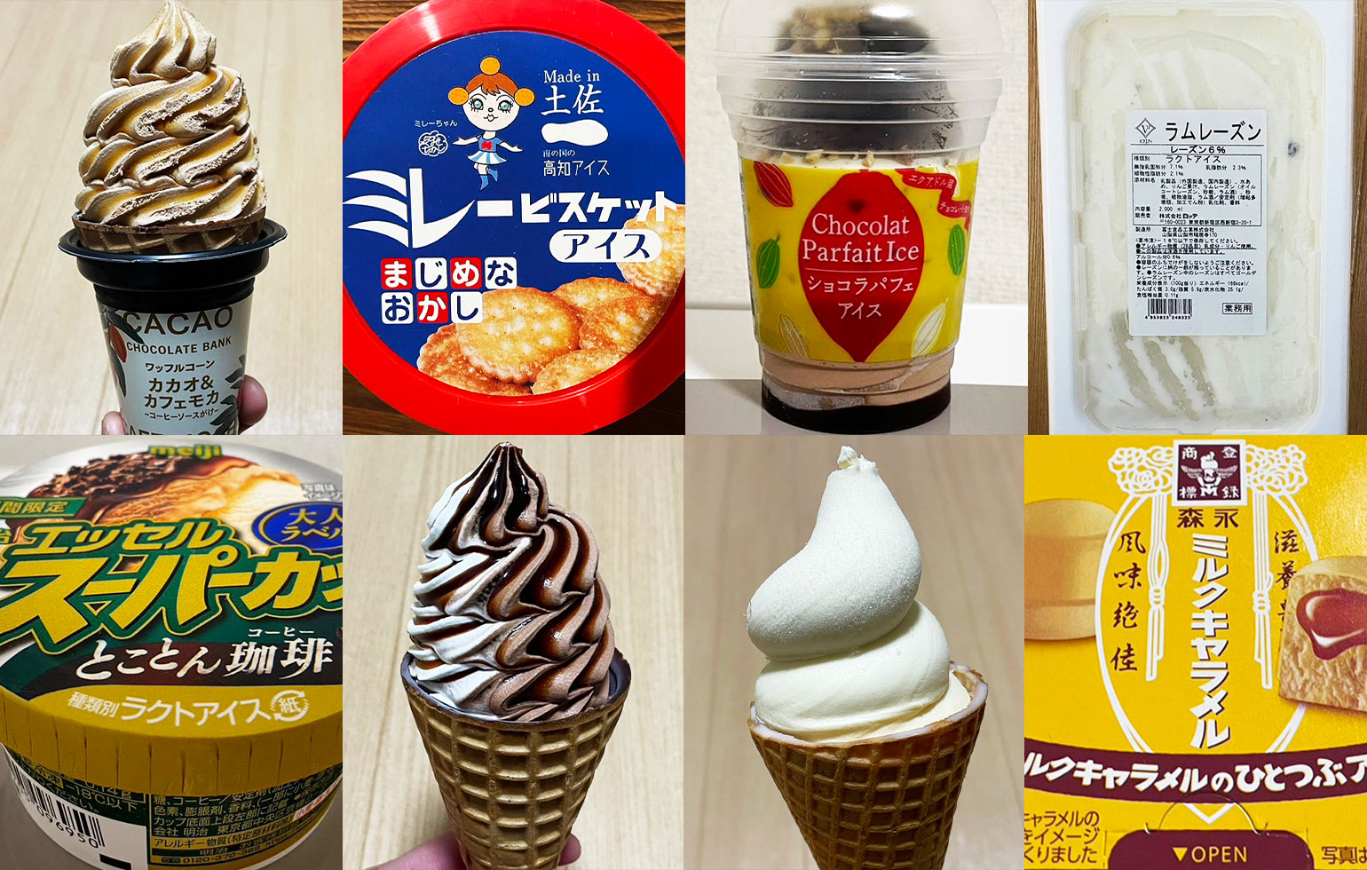活動歴および当時の関連ビジュアル記録