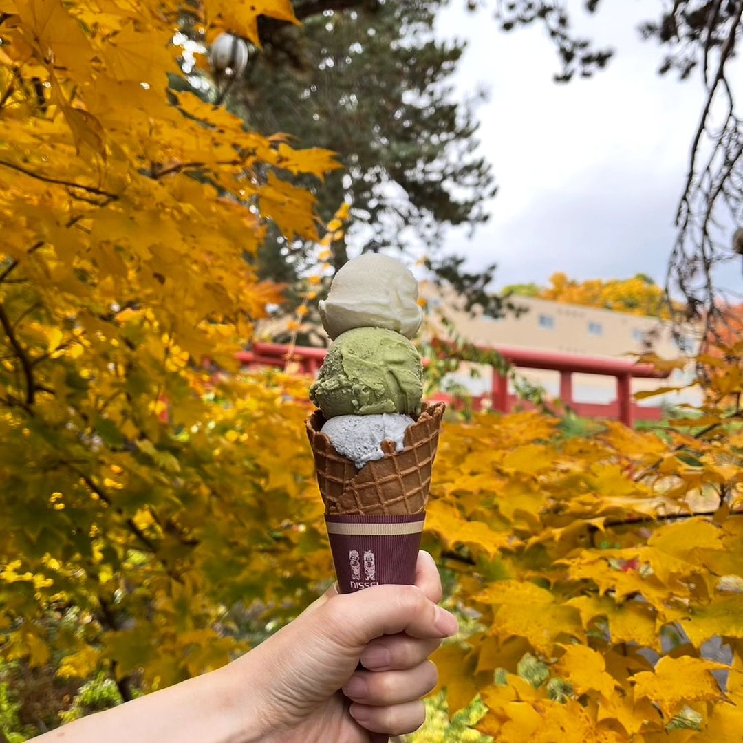 【北海道】ミッシュハウス 伏見本店【ソフトクリーム】