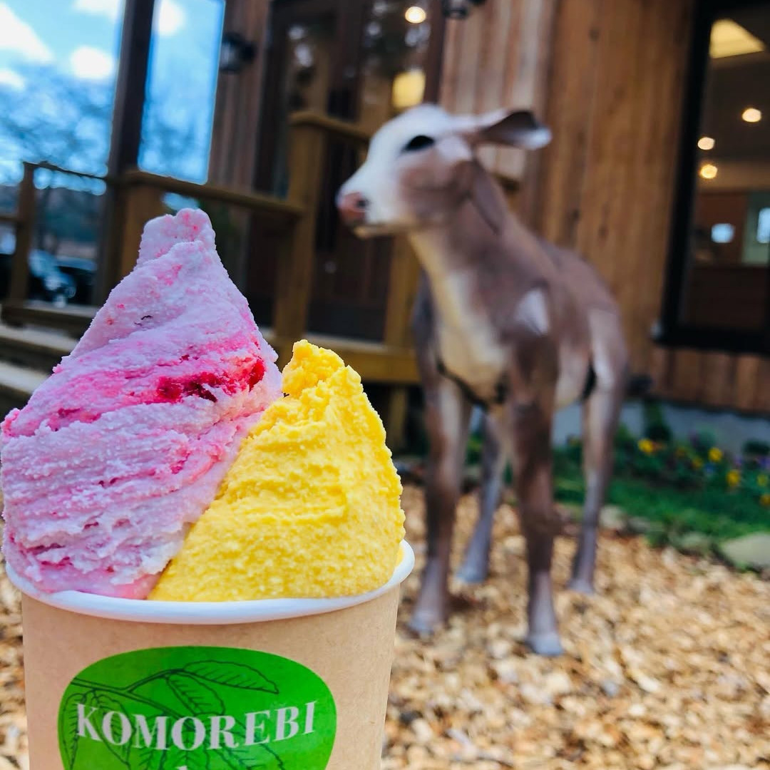 【宮城】KOMOREBI gelato【ジェラート】