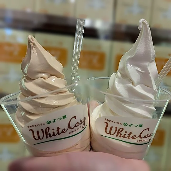 よつ葉ホワイトコージの北海道塩キャラメル(左)とバニラ(右)のソフトクリーム